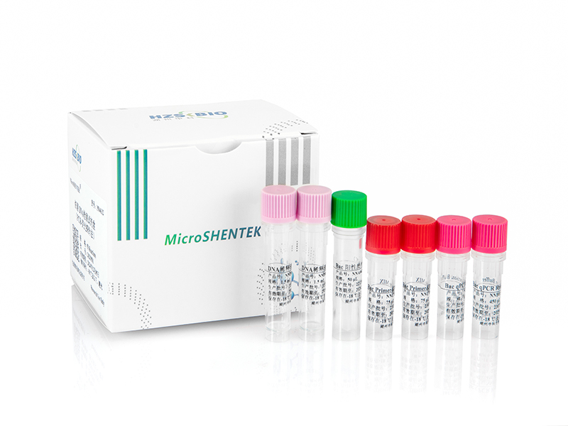 細(xì)菌DNA檢測試劑盒（PCR-熒光探針法）